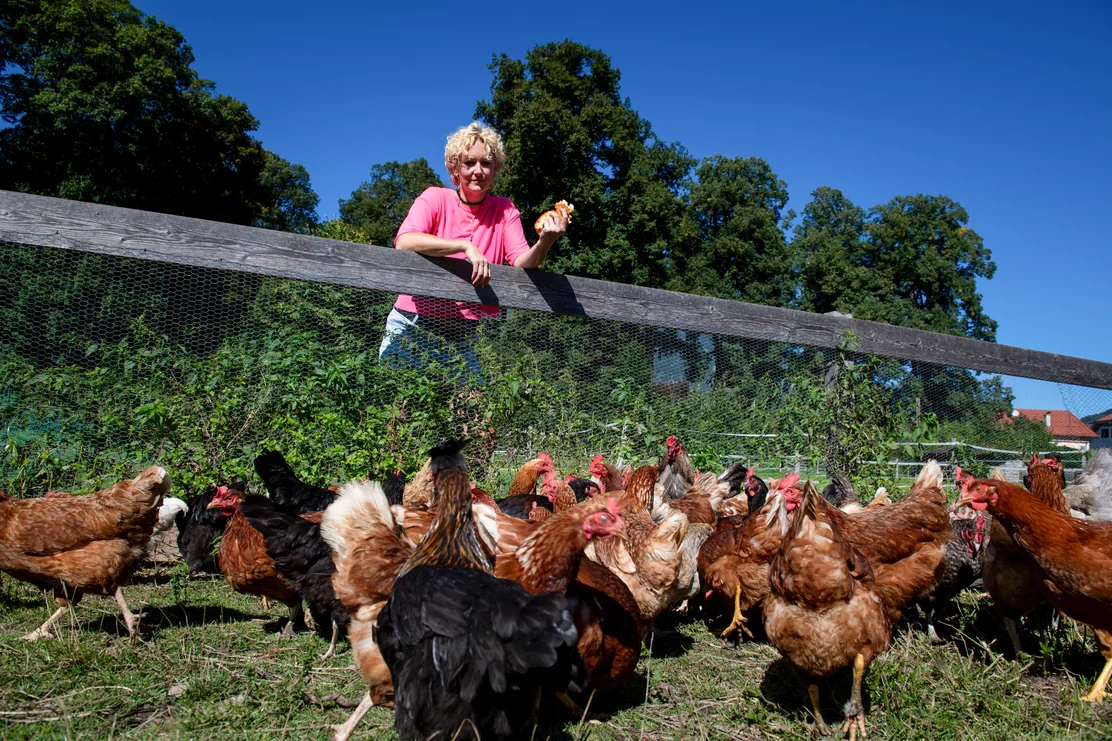 Gerda Rebitsch - I hob an Vogl (13)~-~media--df42eb16--query