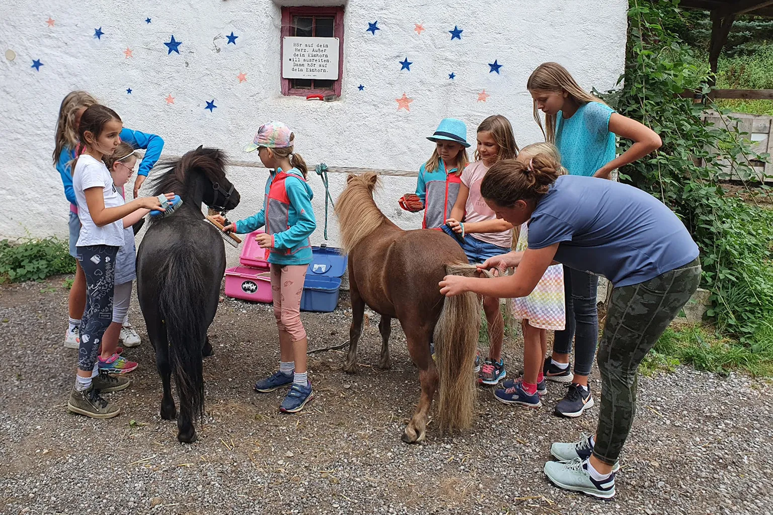 Pony putzen beim Kindergeburtstag - I hob an Vogel in Brixlegg / Tirol