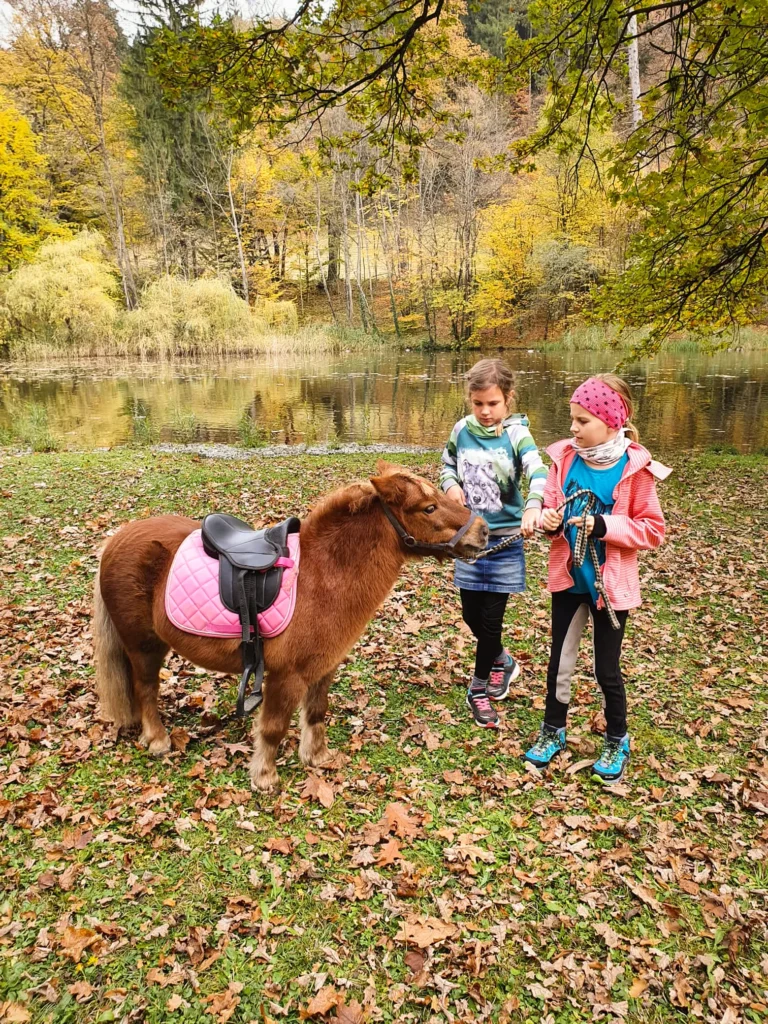 Ponypatenschaft - Spaziergang zum Matzenpark - I hob an Vogel in Brixlegg / Tirol