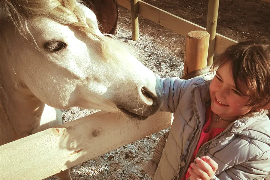 PonypatenschaftbeiIhobanVogel_Freude